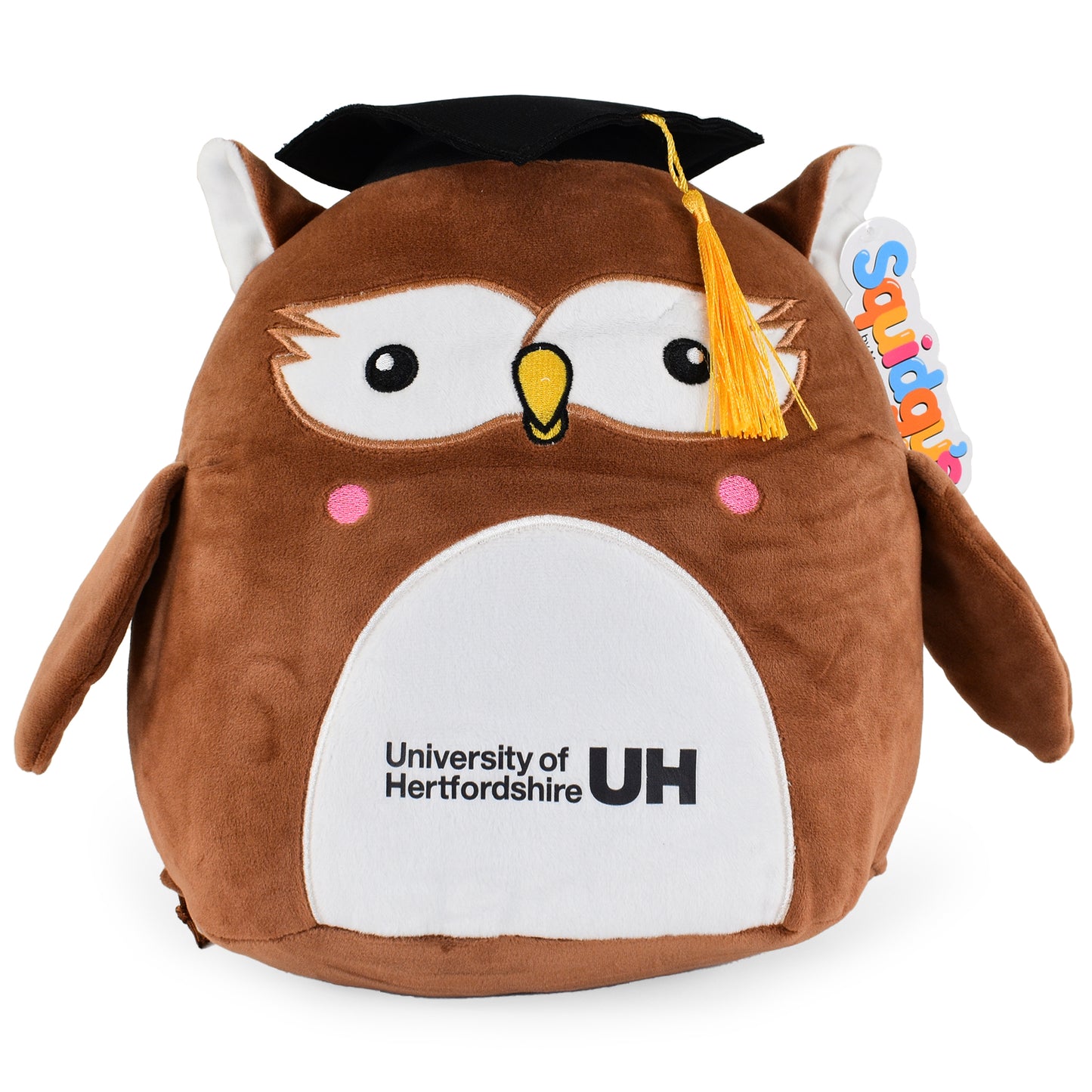 Squidgy Wise Owl